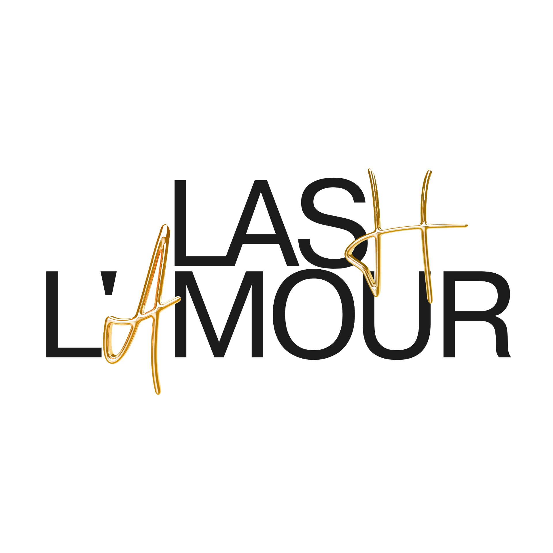 Lash L'Amour logo by emer designs